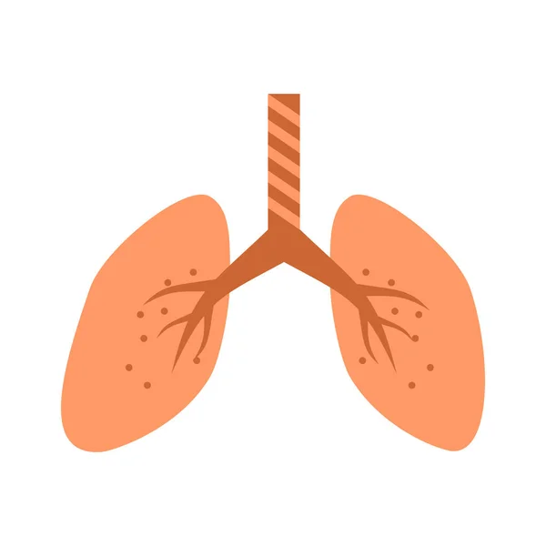 Flat lungs icon.Pulmonology vector illustration isolated on white background. — Stock Vector