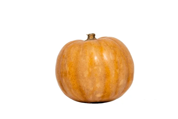 Pumpkin Isolated White Background — Stock Photo, Image