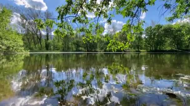 Vue d'un lac à travers les arbres. Panorama animalier. Vidéo en boucle, Vidéo en boucle. Des images d'infini. Des images cycliques. 4K — Video