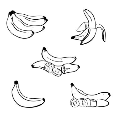 Beyaz arkaplanda muz vektör çizimi. İzole edilmiş el yapımı demet, soyulmuş muz ve dilimlenmiş parçalar. Etiket, poster, baskı, paketleme tasarımı için kullanılabilir.