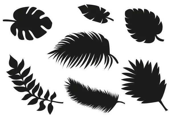 Conjunto Hojas Tropicales Forma Fondo Blanco Ilustraciones Vectoriales Sobre Fondo — Vector de stock