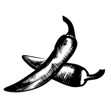 El çizimi kırmızı biber vektörü beyaz arka planda izole edilmiş. Çizim biçiminde Chilli çizgi film vektör çizimi.