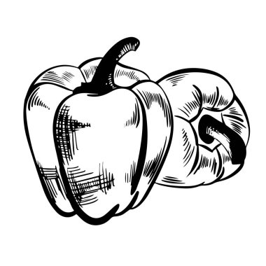 Pepper Paprika çizimi