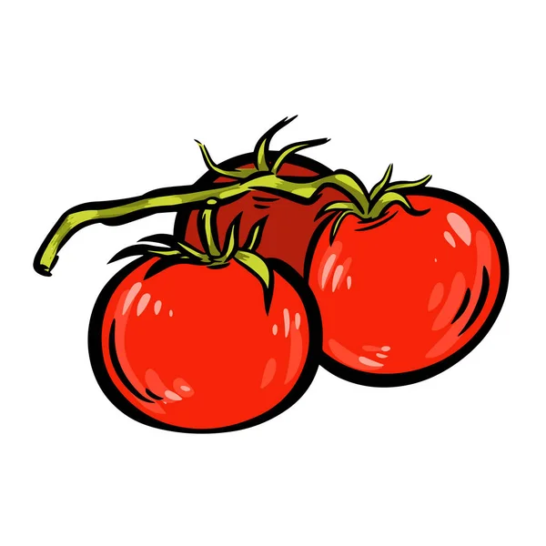 Ilustraciones Rama Tomate Vector Aislado Icono Rama Tomate Dibujado Mano — Archivo Imágenes Vectoriales