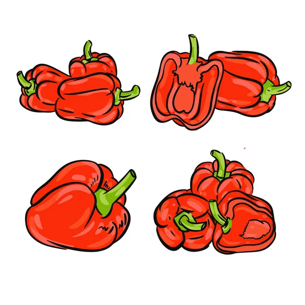 Poivre Paprika Ensemble Illustration Dans Vecteur Icône Paprika Pour Conception — Image vectorielle