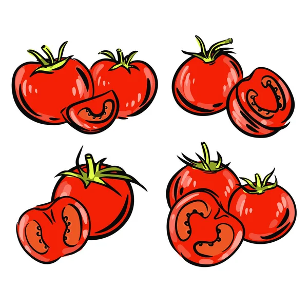 Tomaten Setzen Illustrationen Vektorform Auf Weißem Hintergrund Handgezogene Tomaten Für — Stockvektor