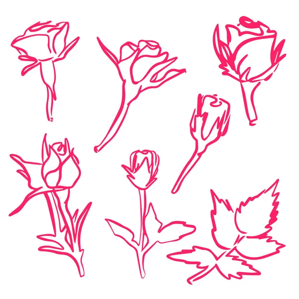 Icône Ligne Rose Sertie Style Vectoriel Dessiné Main Isolé Sur — Image vectorielle