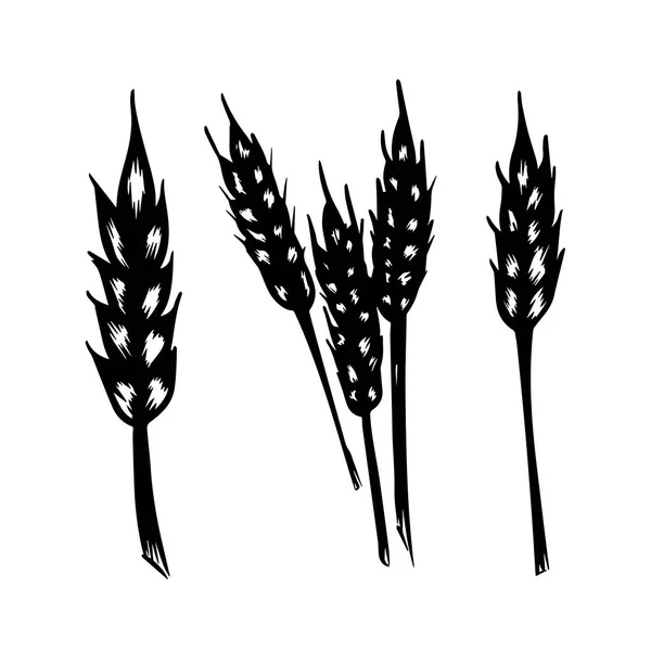 Wheat Icon Logo Set Vector Hand Drawn Style Isolated White — Stock Vector