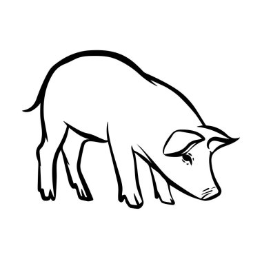 Beyaz arka planda izole edilmiş vektör içinde domuz simgesi logosu. Domuz eli eski moda resimlerle çizilmiş.