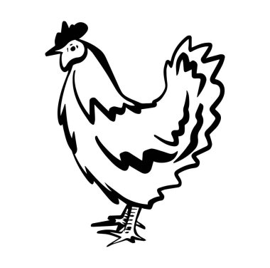 Beyaz arka planda izole edilmiş vektör içinde tavuk simgesi logosu. Retro tarzında tavuk çizimi