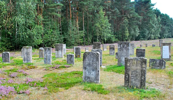 Cemetery — Stock Photo, Image