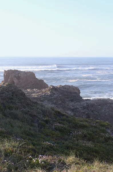 El paisaje acuático con el océano y las rocas — Foto de Stock