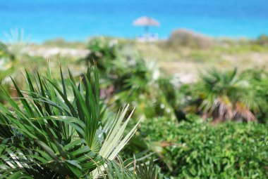 SID, küçük şemsiye ile parlak mavi okyanus üzerinde görünüm