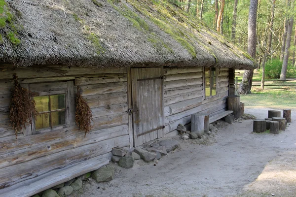 Stary zabytkowy drewniany dom stojący w lesie — Zdjęcie stockowe