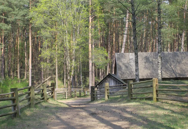 Staré historické dřevěný dům stojící v lese — Stock fotografie