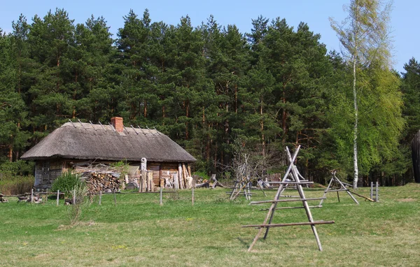 숲에서 오래 된 역사 목조 주택 서 — 스톡 사진