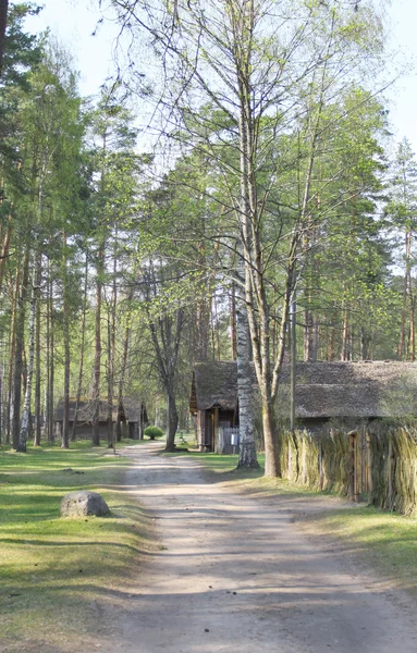 Orman, eski tarihi ahşap evi ayakta — Stok fotoğraf