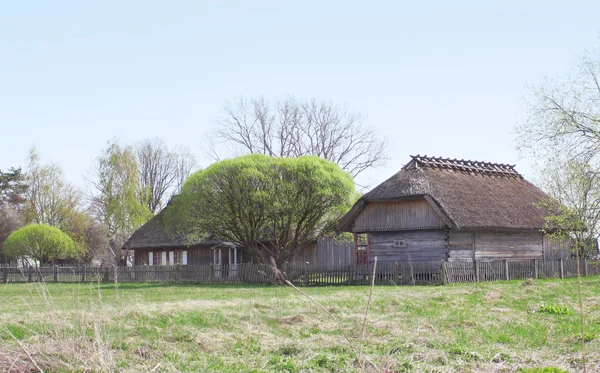 Staré historické dřevěný dům stojící v lese — Stock fotografie