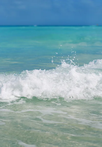 The wave with foam at the shore of the ocean — Stock Photo, Image