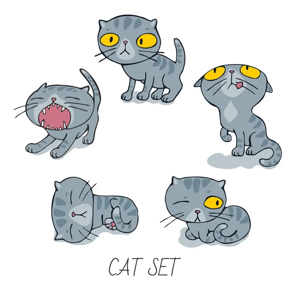 Ensemble de chatons gris — Image vectorielle