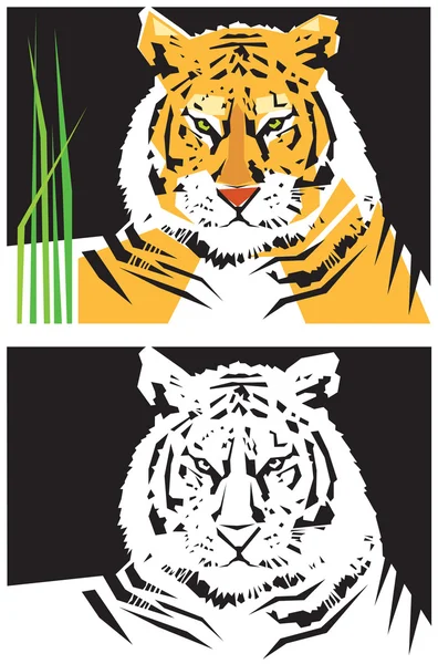 Stylized images of tiger — Stock Vector