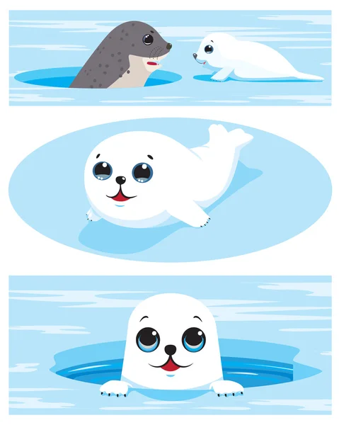 Set of images of harp seal pups — Stock Vector