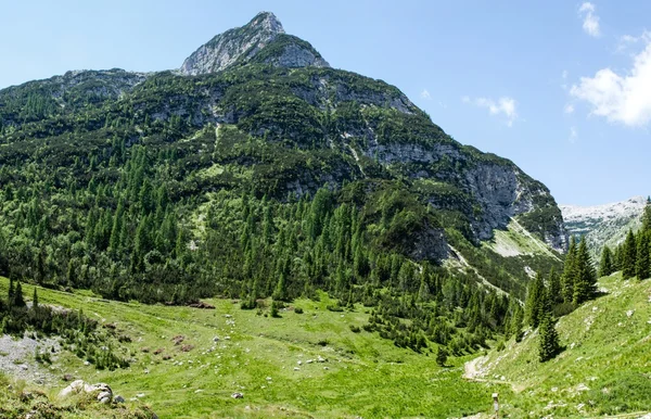 Slovenien berg — Stockfoto