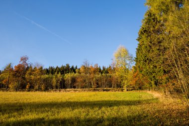 sonbahar sonbahar manzarası