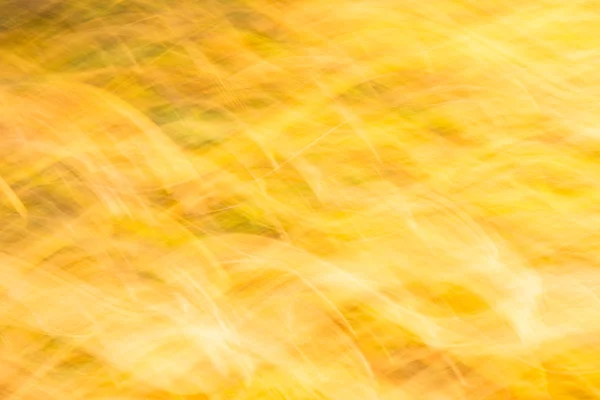 Mover folhas de outono de outono desfocadas Imagem De Stock