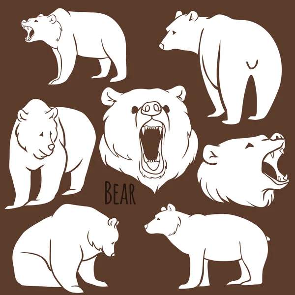 Conjunto de siluetas de oso salvaje en el fondo . — Vector de stock