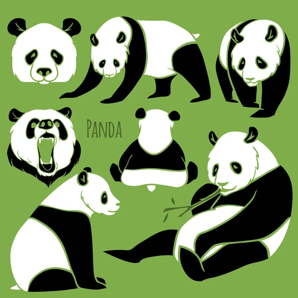 Set of Vector Panda silhouettes set — Stock Vector