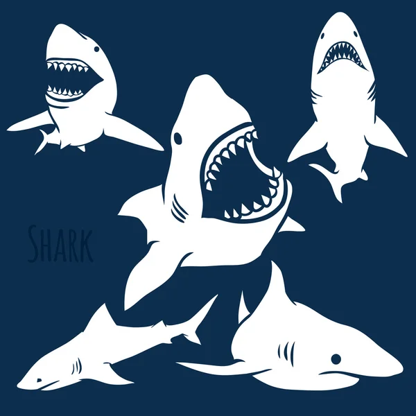 Danger Shark silhouettes set. Royalty Free Stock Vectors