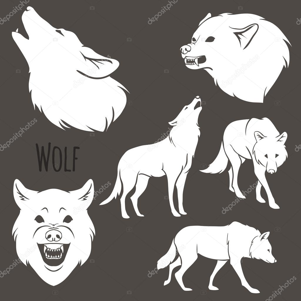 Grey Wolf Silhouette on brown background. vector illustration