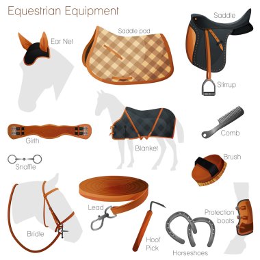 Set of equestrian equipment. Vector. clipart