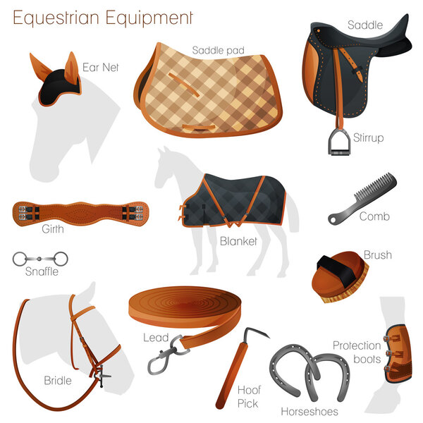 Set of equestrian equipment. Vector.