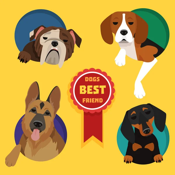 Küme farklı köpek doğurmak.
