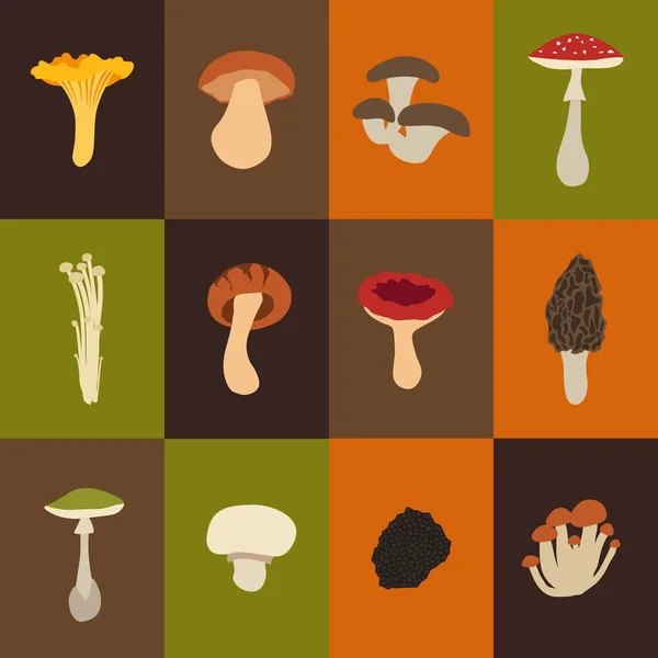 Coffret champignons Illustration — Image vectorielle
