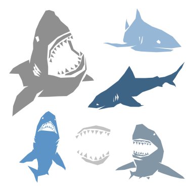 Köpekbalıkları kümesi