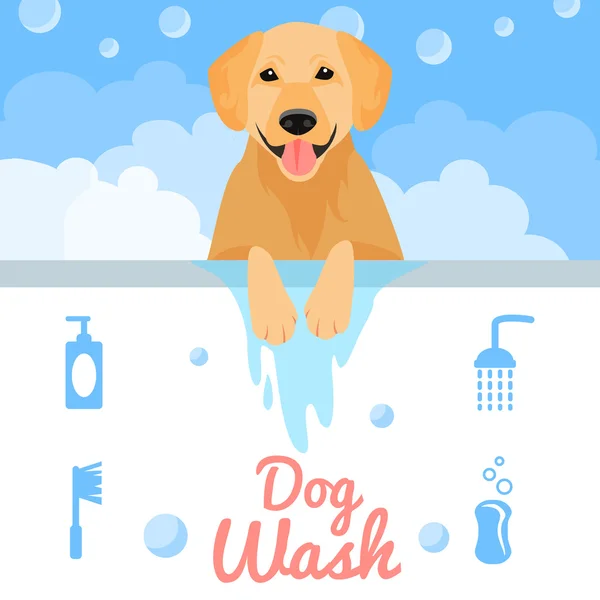 Dog wash — Stock Vector