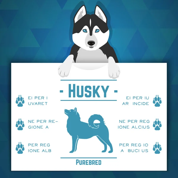 Husky kutya banner — Stock Vector