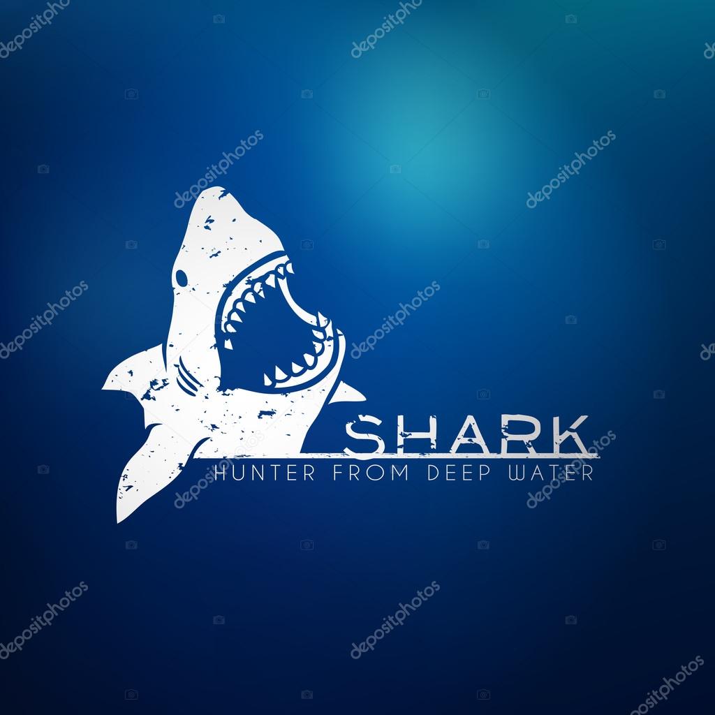 Shark concept logo with blur background. Vector illustration