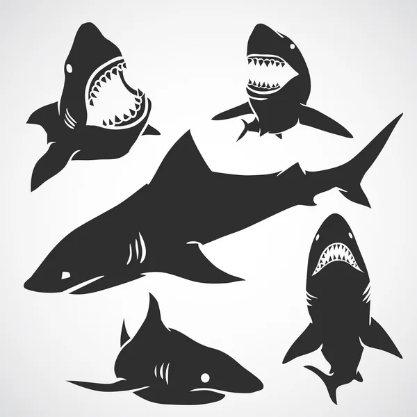 Conjunto de tiburones — Vector de stock