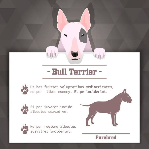 Bullterrier Hund Banner — Stockvektor