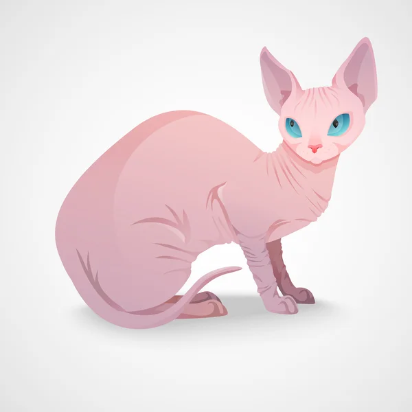 Сфинкс-кошка сидит — стоковый вектор