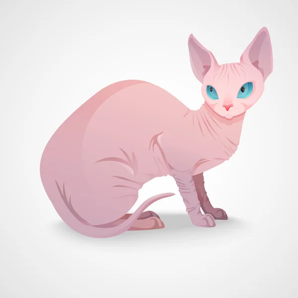 Esfinge gato sentado — Vector de stock