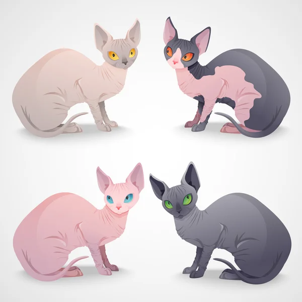 Sphynx chats — Image vectorielle