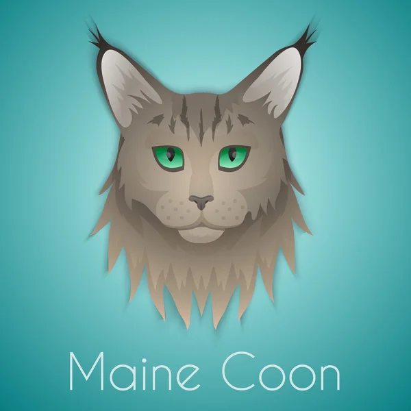 Maine coon — Stock Vector