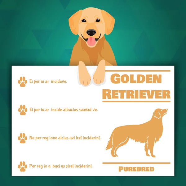 Banner cão golden retriever —  Vetores de Stock