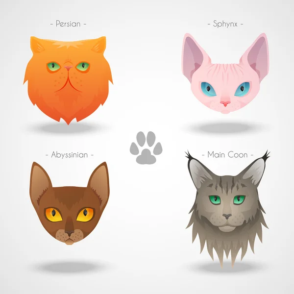 Gato razas iconos — Vector de stock