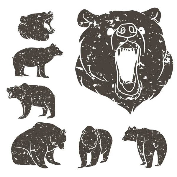 Set of different bears 2 — Stock Vector